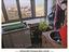 Immagine 16