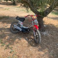 Califfone rizzato