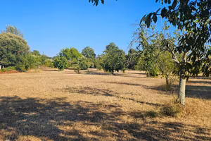 Terreno edificabile