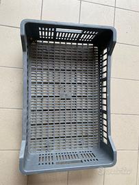 Plateauc - Cassettine in plastica