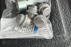 Bulloni  per cerchi Ford pick-up