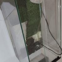 acquario per tartarughe e pompa 