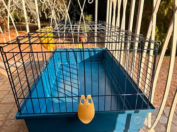 Gabbia per coniglio o cavia.