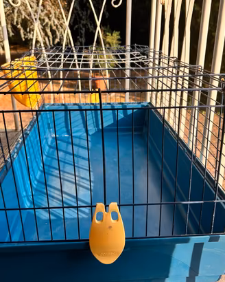 Gabbia per coniglio o cavia.