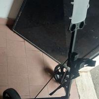 carrello golf