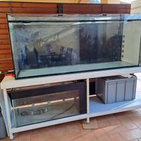 Acquario per discus ,fino a 80 discus