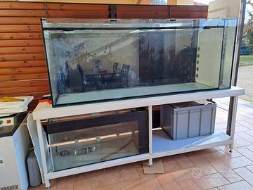 Acquario per discus ,fino a 80 discus