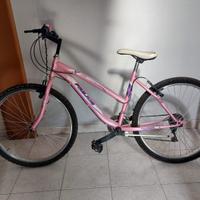 Mountain bike donna