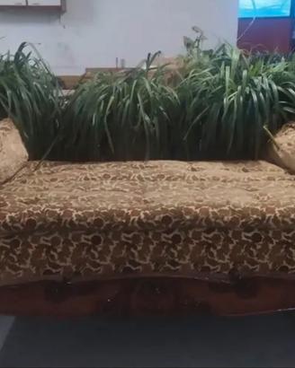 tavolo e divano in legno prezzo trattabile