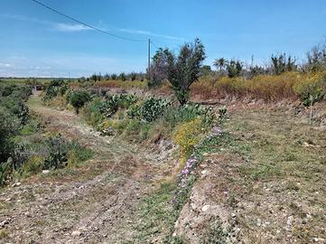 Terreno agricolo