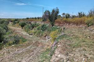 Terreno agricolo