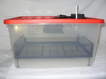 Incubatrice 40 uova semiautomatica