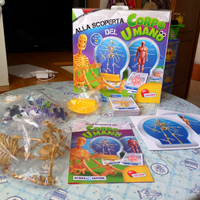 Gioco Corpo umano "Lisciani"