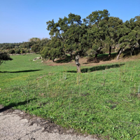 Terreno agricolo con casetta rurale
