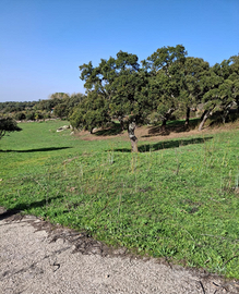 Terreno agricolo con casetta rurale