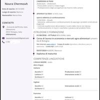 Studentessa universitaria  lavoro part time