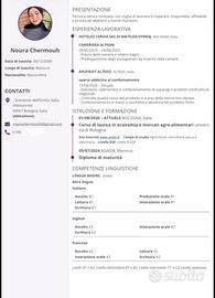 Studentessa universitaria  lavoro part time
