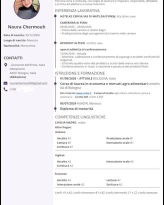 Studentessa universitaria  lavoro part time