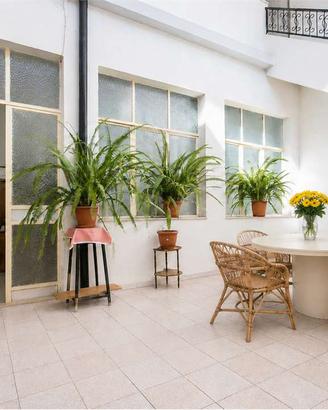 Casa campidanese con cortile