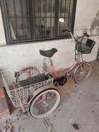 Triciclo elettrico per adulti
