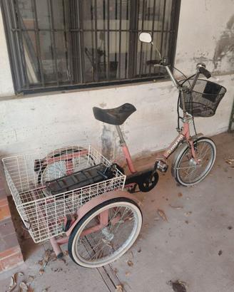 Triciclo elettrico per adulti