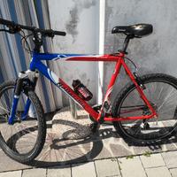 MTB Bottecchia FX530
