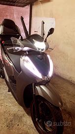 Sh 300 sport