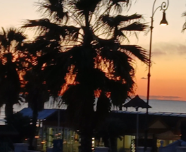 Ostia lido