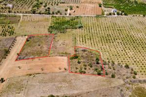Terreno a Partinico, Contrada Cannizzaro