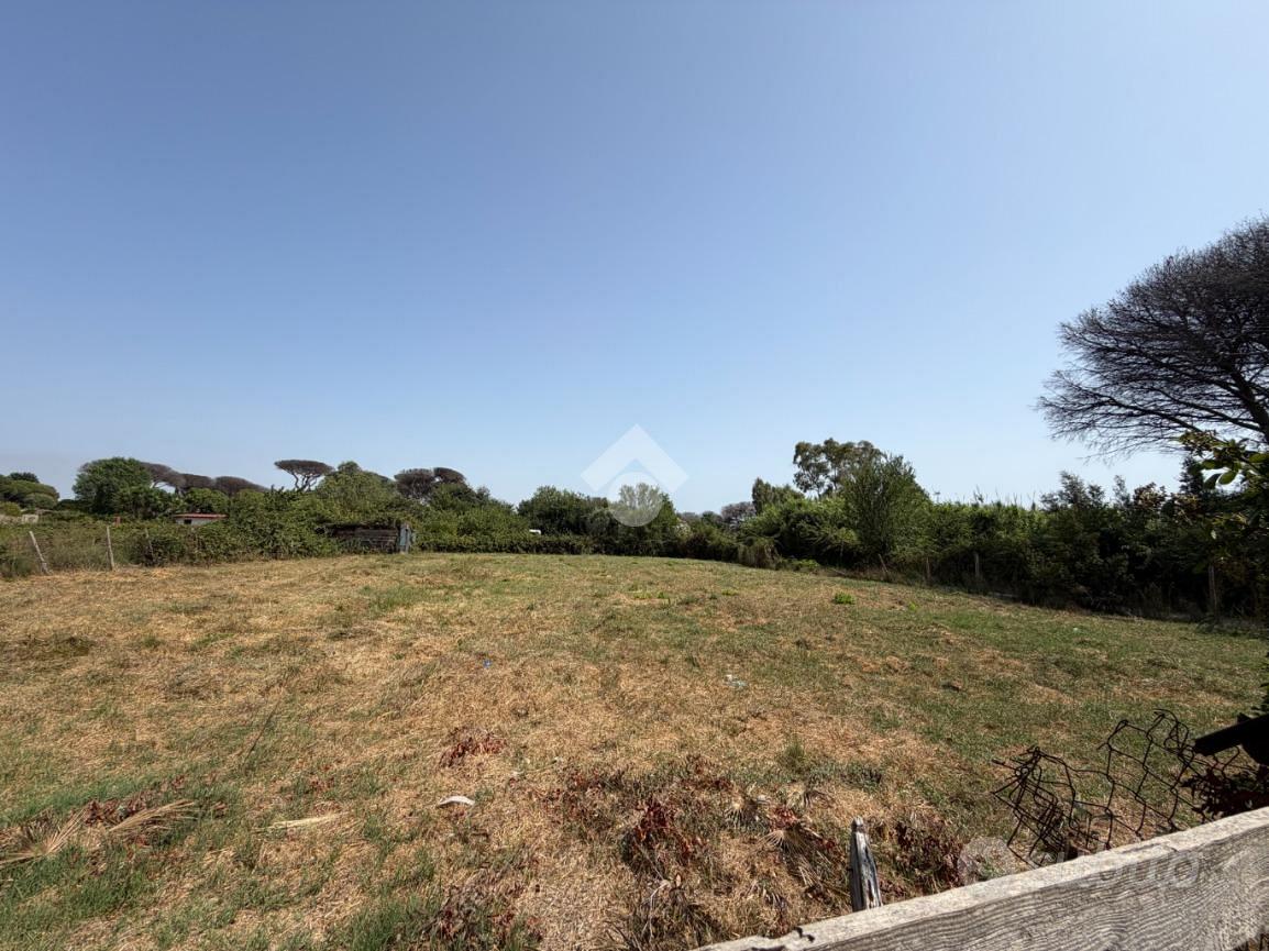 TER. AGRICOLO A ROMA - Ansicht 3