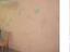 Immagine 9