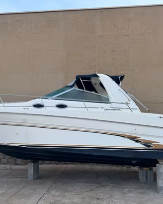 Sea ray 290