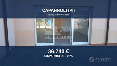 Immobile in asta di 51 m² a Capannoli