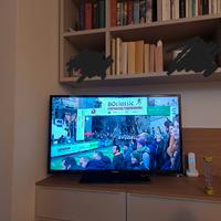 Televisione Telefunken 40"