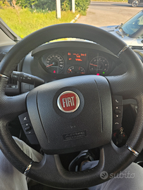 Camper mcluise 26g glamys gold