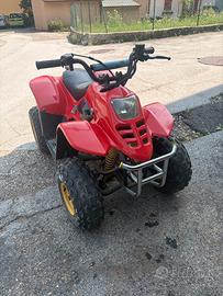 N.2 MINI QUAD 50/70cc