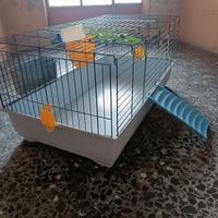 Gabbia per conigli