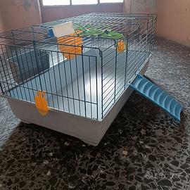 Gabbia per conigli
