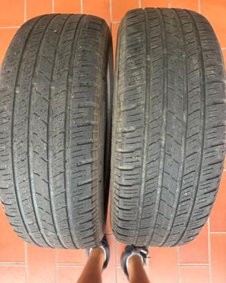 Gomme Freemont 225 65 17 102h