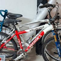 bici da passeggio e da Mountain bike