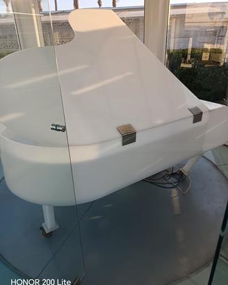 pianoforte a coda 