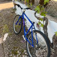 Bici bianchi