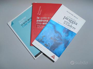 Le sette iniziazioni + altri 2 libri di S. Brizzi