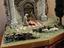 Immagine 6