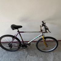 Bicicletta