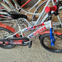 Bici ruote da 16 pollici