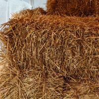 balle di paglia, piccole