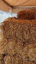 balle di paglia, piccole