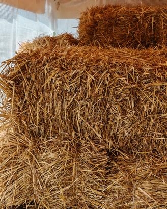 balle di paglia, piccole