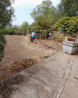 Terreno agricolo